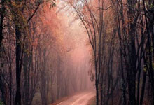 多多28：约基奇34+13威少两双詹姆斯18分 掘金大胜湖人.