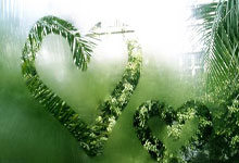 多多28：CBA最新排名，山西锁定第二，首钢输球仍第四，广东重回第六.